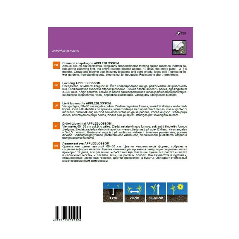 Sēklas lielo lauvmutīšu appleblossom