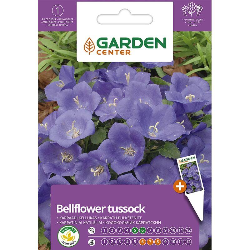 Sēklas karpatu pulkstenītes zilas