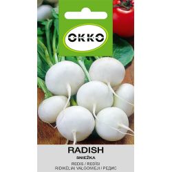 Sēklas redīsi sniežka