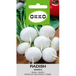 Sēklas redīsi sniežka