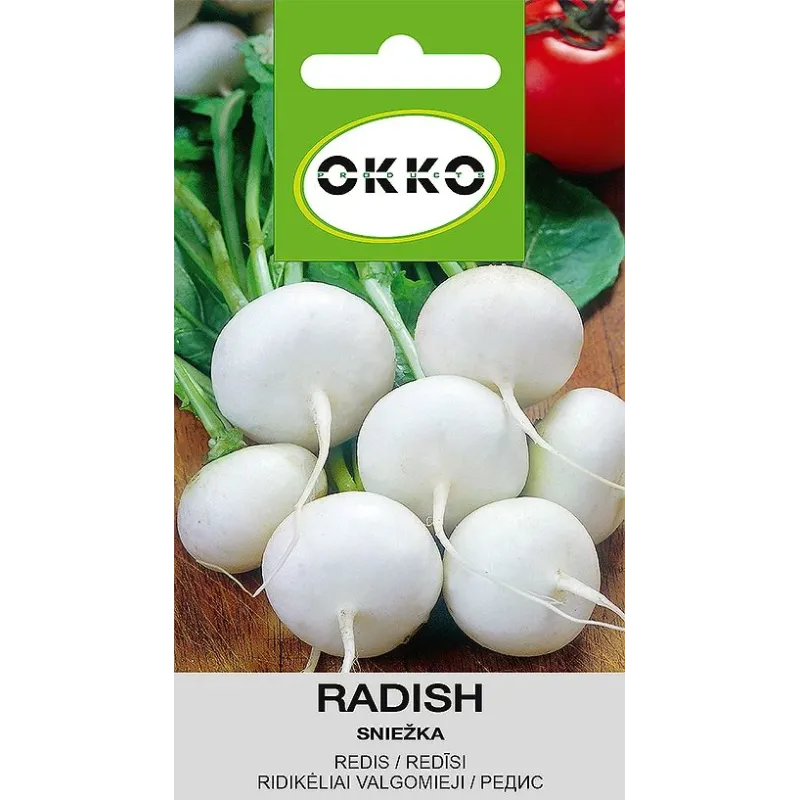 Sēklas redīsi sniežka