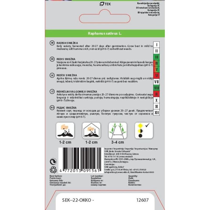 Sēklas redīsi sniežka