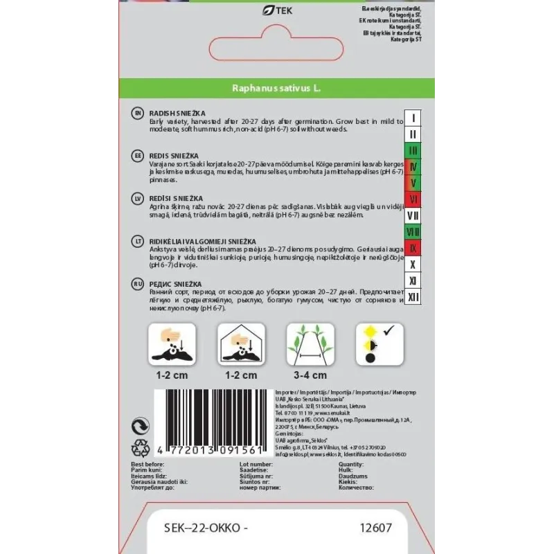Sēklas redīsi sniežka