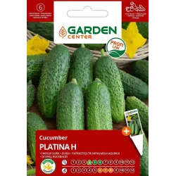 Sėklos Garden Center, agurkai PLATINA H, 0.5 g