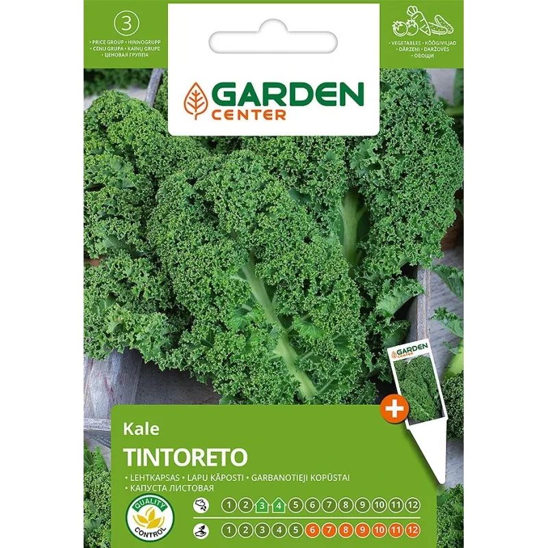 Sēklas Garden Center, kale kāposti TINTORETO, 1 g