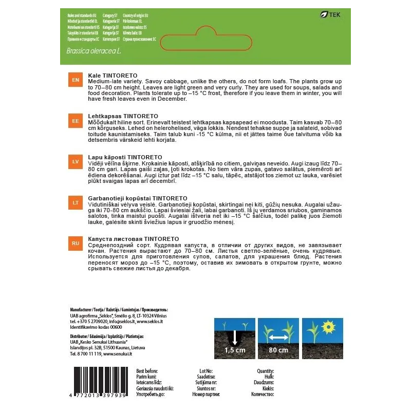 Sēklas Garden Center, kale kāposti TINTORETO, 1 g