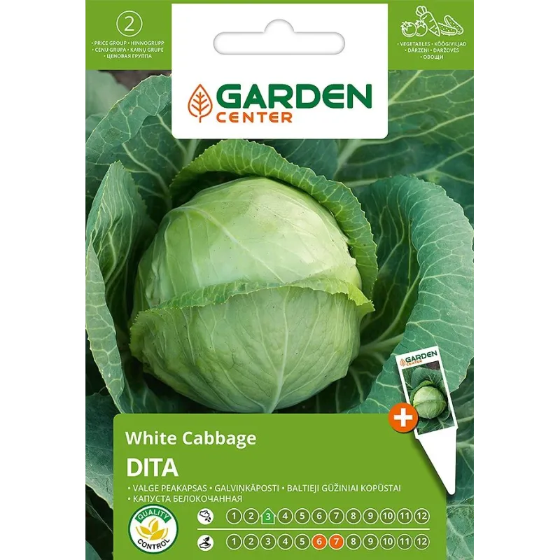 Sēklas Garden Center, dārza kāposti DITA, 1 g