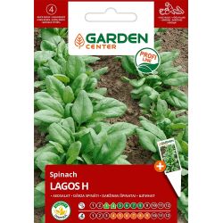 Sēklas dārzeņu spināti lagos h 2g