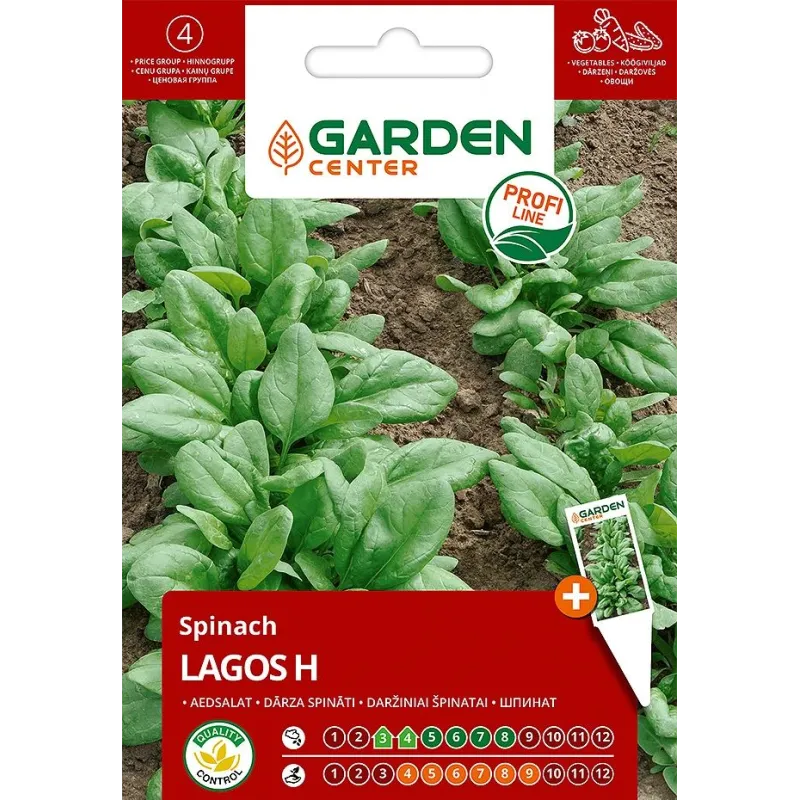Sēklas Garden Center, spināti LAGOS H, 2 g