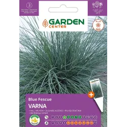 Sēklas ziedu auzenes varna 0.5g