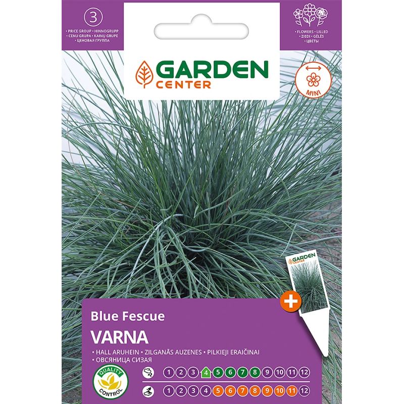 Sēklas ziedu auzenes varna 0.5g