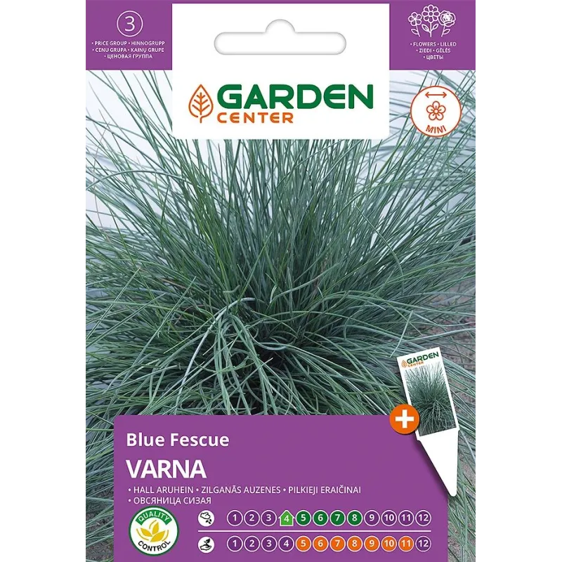 Sēklas Garden Center auzene VARNA, 0.5 g