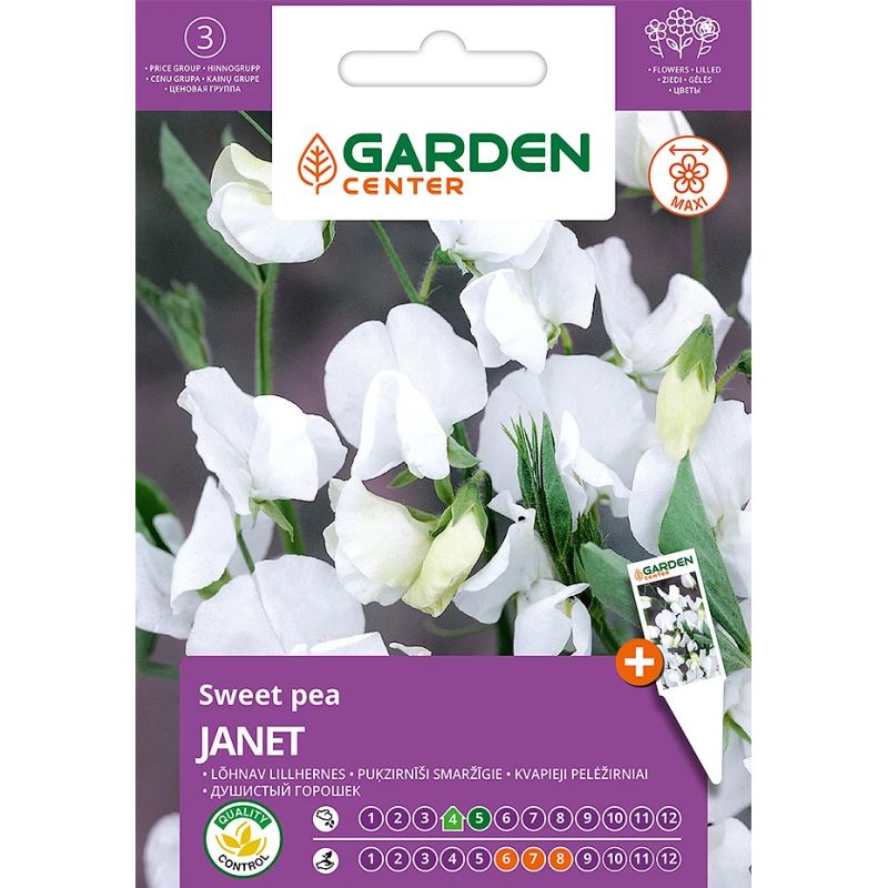 Sēklas ziedu puķuzirņi janet 2g