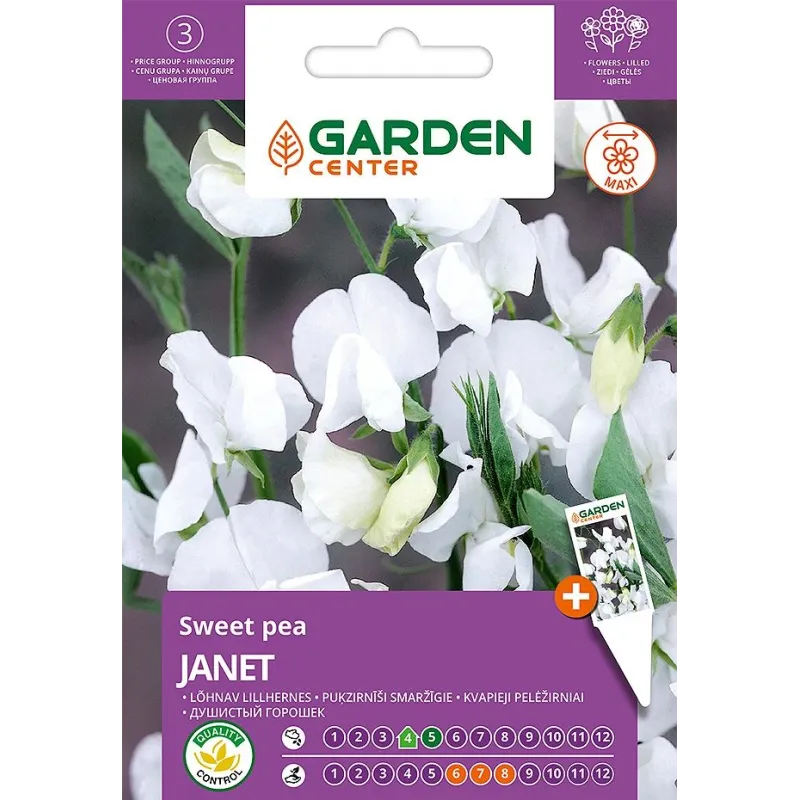Sēklas Garden Center platlapu dedestiņa JANET, 2 g