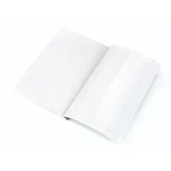 Mapes Panta Plast 0302-0078-00, 55 cm x 31 cm, 10 gab. Caurspīdīga krās.