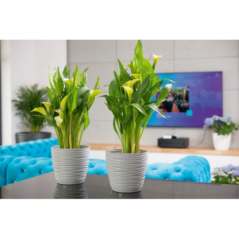 Puķu pods Form Plastic Sahara Petit 3000-040, plastmasa, pelēka