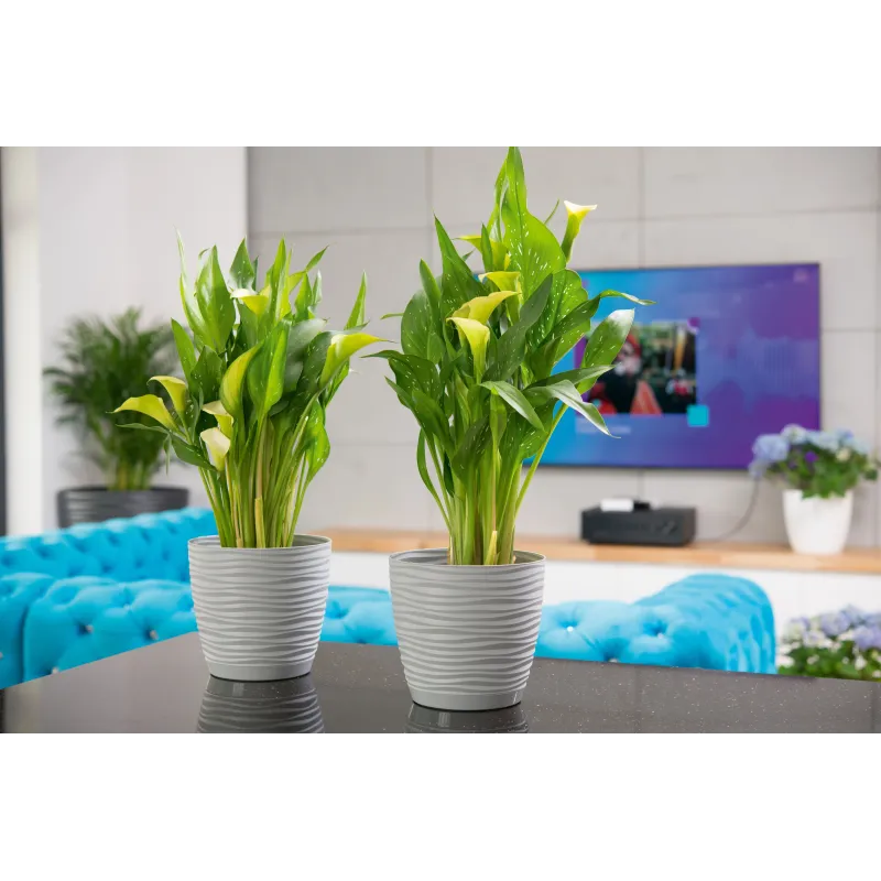 Puķu pods Form Plastic Sahara Petit 3000-040, plastmasa, pelēka