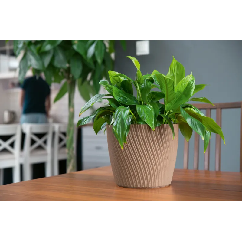 Puķu pods Form Plastic Mika Petit Eco 4532-078, plastmasa, brūna