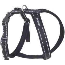 Krūšu siksna amiplay melna xl 48-59-75cm