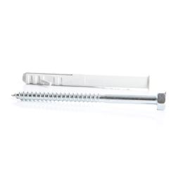 Dībelis ar skrūvi htve08 10x100mm