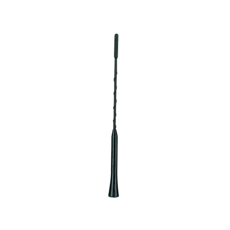 Antena 24 cm