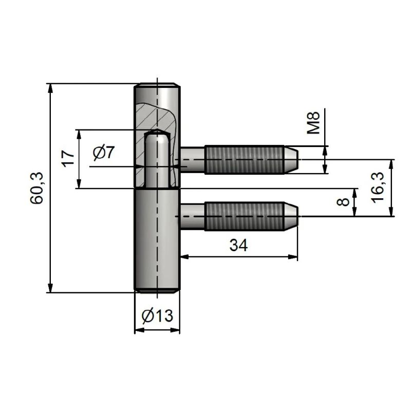 Logu eņģe 13x60 zn dzeltena