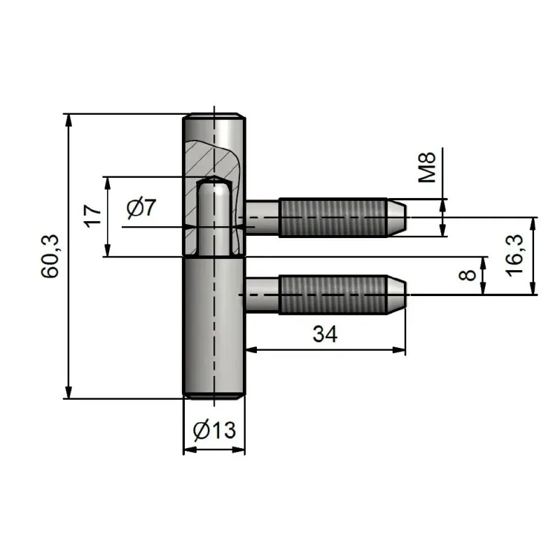 Logu eņģe 13x60 zn dzeltena