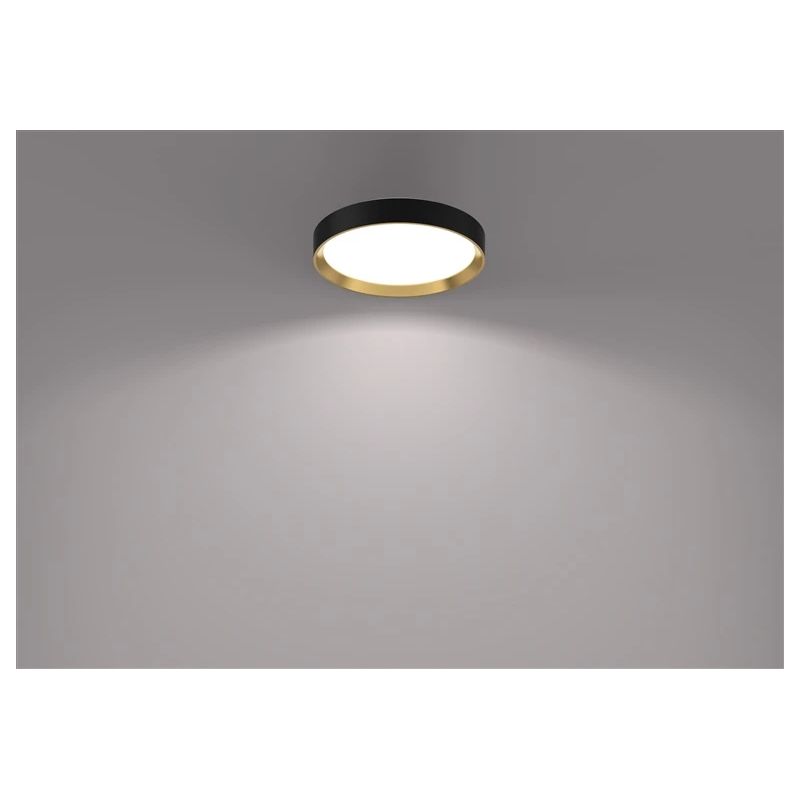 Hanno ceiling ss rd 24w 40k b_g