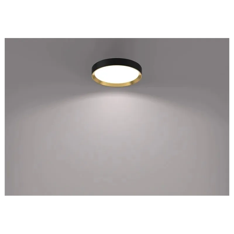 Lampa griesti Philips Hanno 929004115901, LED, 4000 °K, 1 x 24 W