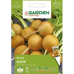 Sēklas redīsi zlata