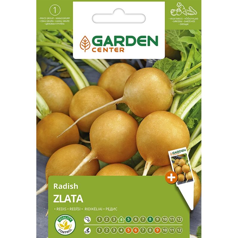 Sēklas redīsi zlata