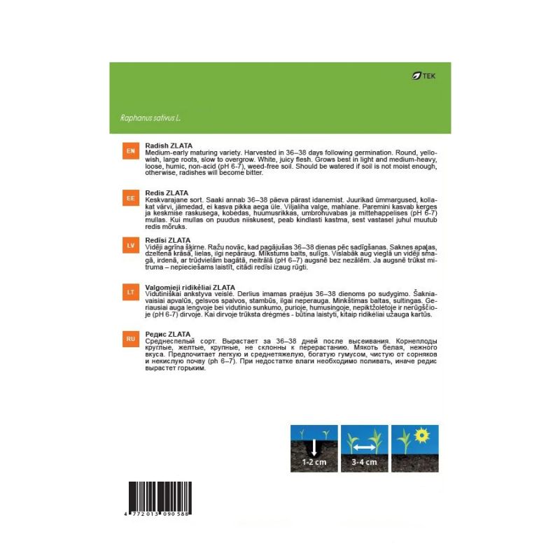 Sēklas redīsi zlata