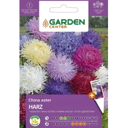 Sēklas ķīnas astere gr.harz