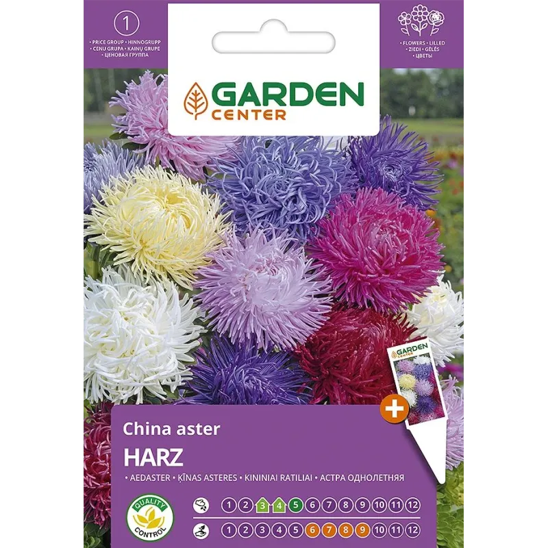 Sēklas Garden Center ķīnas astere Harz, 0.5 g
