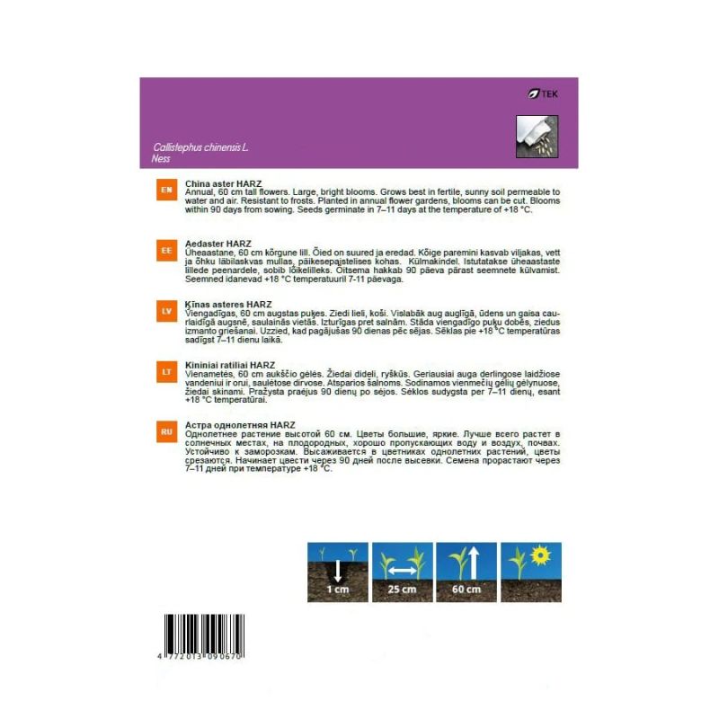 Sēklas ķīnas astere gr.harz