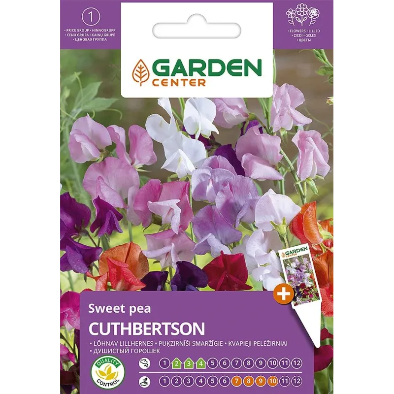 Sēklas Garden Center platlapu dedestiņa Cuthbertson, 2 g