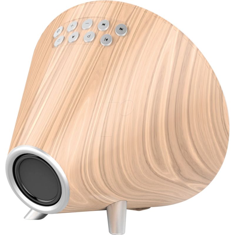 Nasa WSP1700 wood Weather Station-Speaker BT Ship