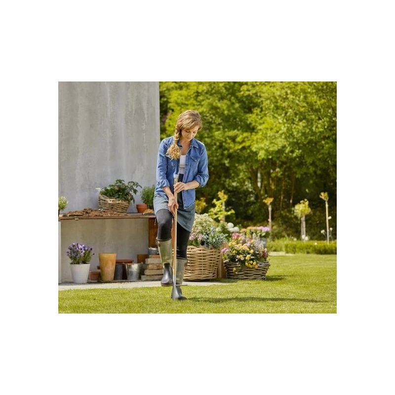 Koka kāts fsc clickup