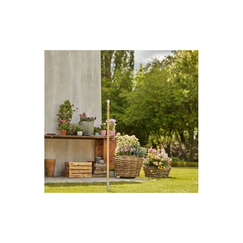 Koka kāts fsc clickup