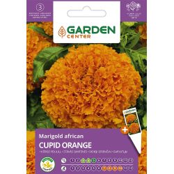 Sēklas lielās samtenes cupid