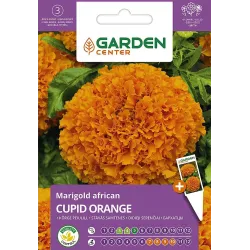 Sēklas lielās samtenes cupid