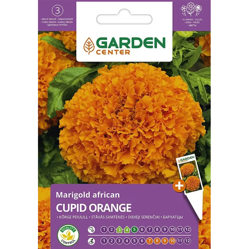 Sēklas Garden Center samtenes Cupid Orange, 0.5 g