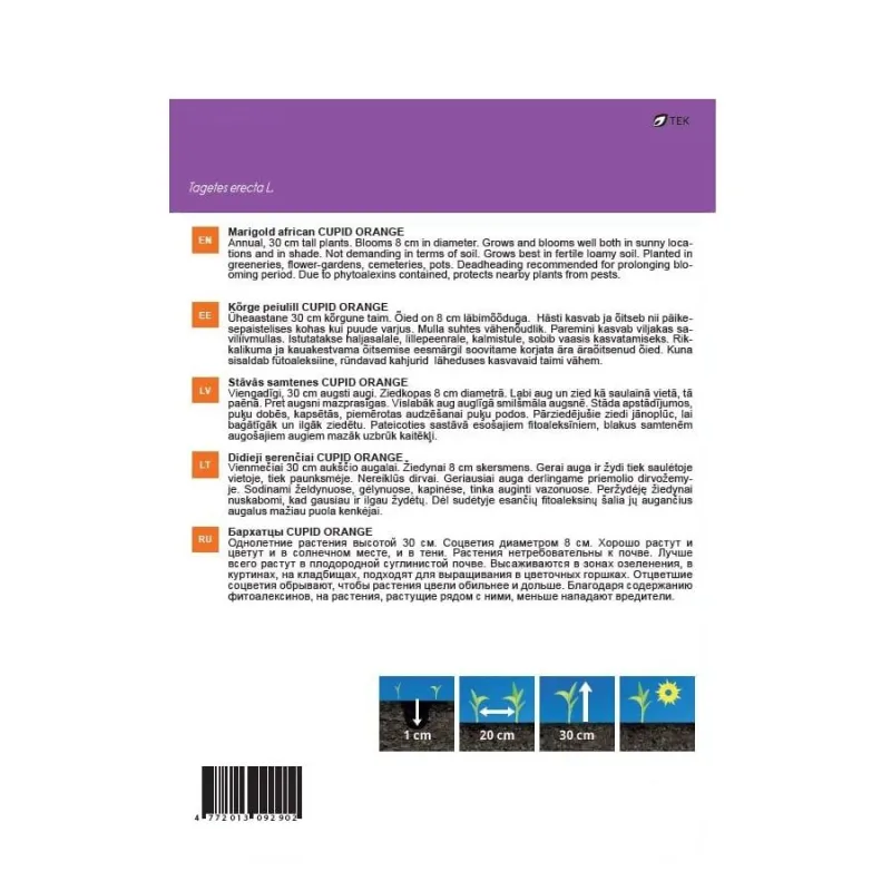 Sēklas Garden Center samtenes Cupid Orange, 0.5 g