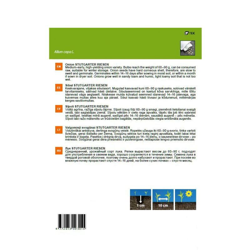 Sēklas sīpoli stutgarter riesen