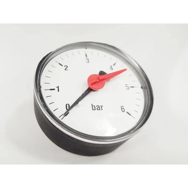 Manometrs Watts 10018608, 63 mm, 6 Bar