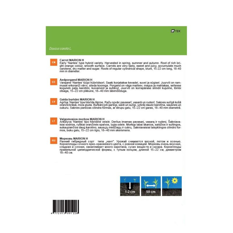 Sēklas galda burkāni marion h