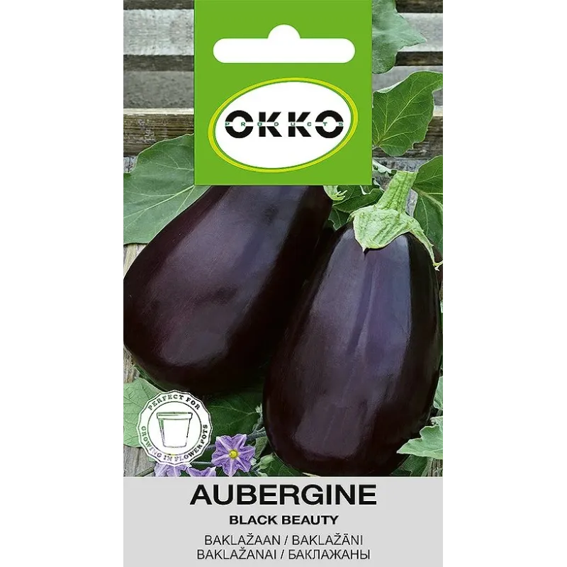 Seemned Okko, baklažaan Black Beauty, 0.2 g