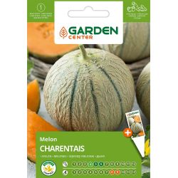 Sēklas dārzeņu melones charentais 1g