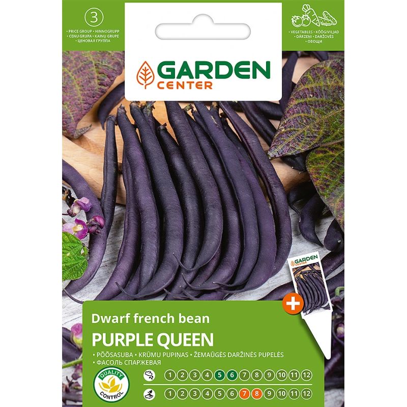 Sēklas dārz pupiņas krūmu purple queen8g