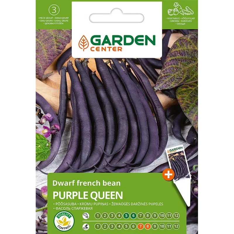 Sēklas Garden Center, pupiņas ,mazas, PURPLE QUEEN, 8 g